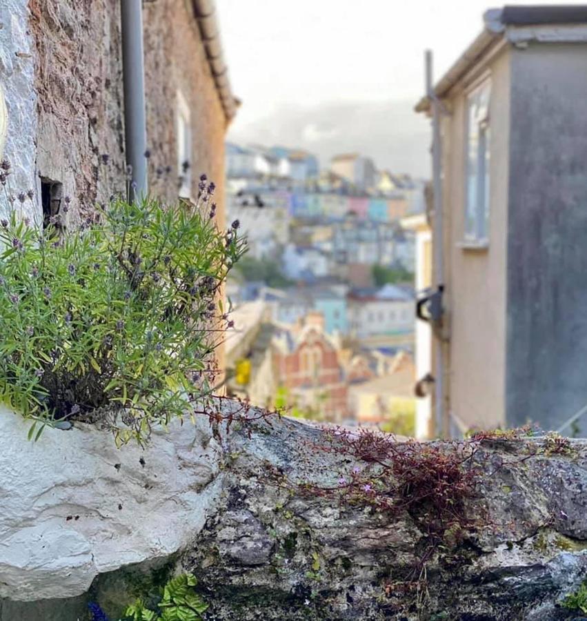 Saltys Cottage, Brixham - 2 Min Walk To The Harbour Ngoại thất bức ảnh